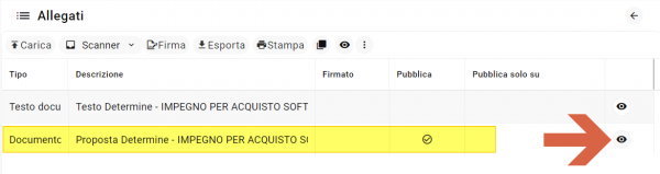 Allegati alla determina