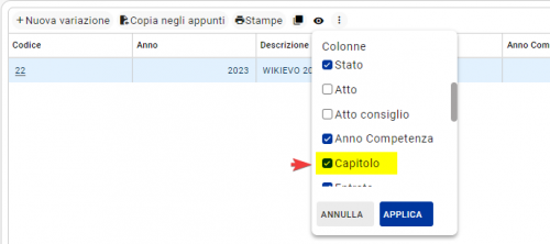Variazioni di bilancio-Accentratore