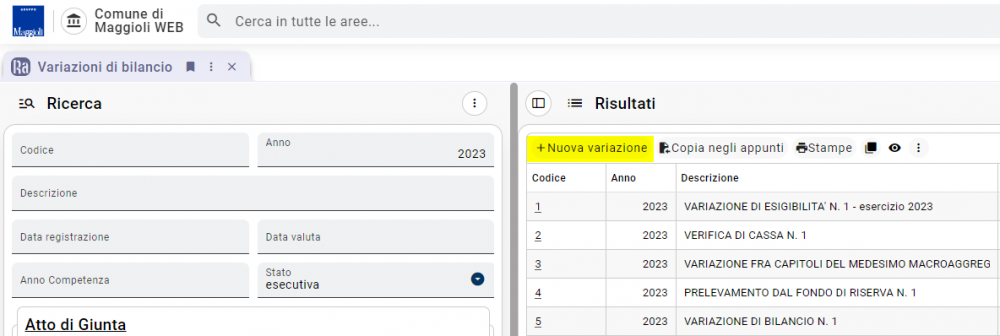 Variazioni di bilancio